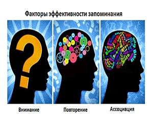 Факторы эффективности запоминания www.anna.zorya.name